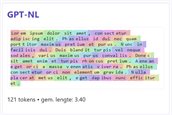 Tokenizer GPT-NL
